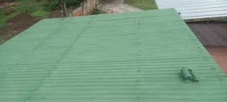 Roof fixing and Repainting