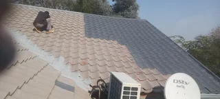 Roof fixing and Repainting