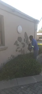 Roof fixing and repainting