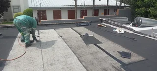 Roof fixing and repainting