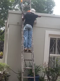 Roof fixing and repainting