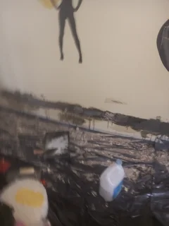 Roof fixing and repainting