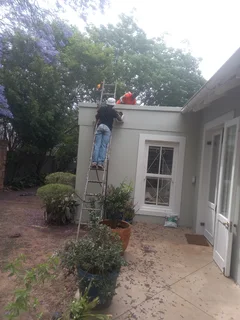 Roof fixing and Repainting
