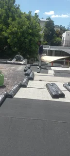 Roof fixing and Repainting