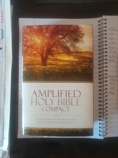 HOLY Bible...AMPLIFIED &amp; Compact !!!