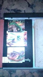 OLD Recipe file &amp; two recipe snippet,books..