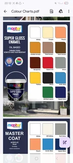 Masterpaints - Ad posted by Solomon Dorasamy