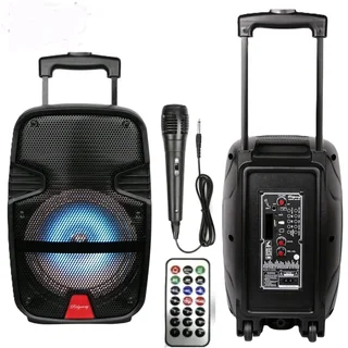 8 inch Speaker with mic