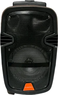 8 inch Speaker with mic