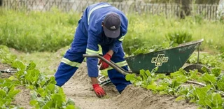Housekeeping and cleaning service