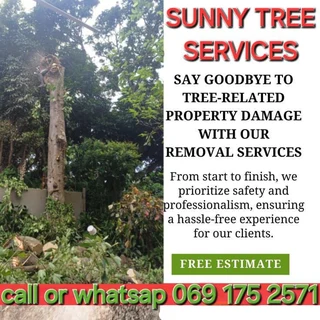 Sunny Tree Services