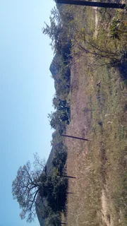 Empty land 30x25 meters at Siphelanyane