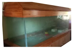Fish tank 6ft (1.8m)