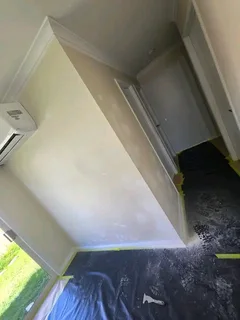 Professional Painter &amp; Waterproofing Specialist looking for job