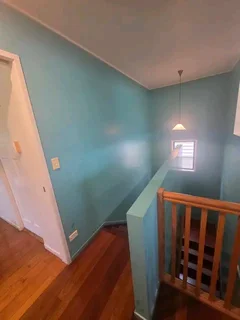 Professional Painter &amp; Waterproofing Specialist looking for job