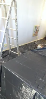 Professional Painter &amp; Waterproofing Specialist looking for a job