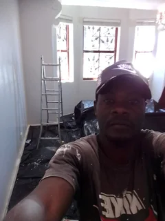 Professional Painter &amp; Waterproofing Specialist looking for a job