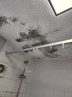 • “Mould &amp; Bubble Repair Specialist”