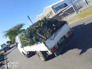 Garden refused removals