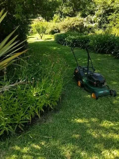 Evergreen garden services