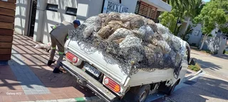 Waste and Rubble Removal