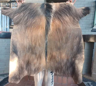 African Bushpig hide