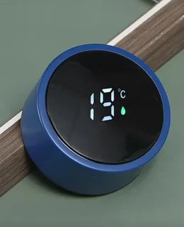 Temperature display mugs