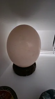 Ostrich egg ornament for sale