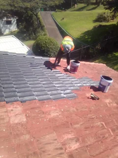 PROFESSIONAL PLUMBERS/TILERS/PAINTERS 0834933468