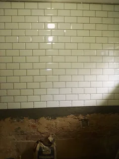 PROFESSIONAL PLUMBERS/TILERS/PAINTERS 0834933468