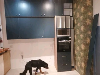 I&#39;m looking for carpentry job