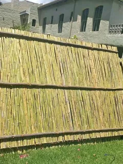 Bamboo screens