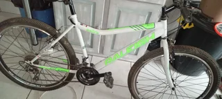 Raleigh 26 Inch Sabre 21 Speed Mountain Bike