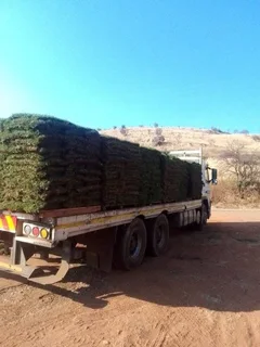 Fresh Farm Grass Available