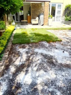 Fresh Farm Grass Available