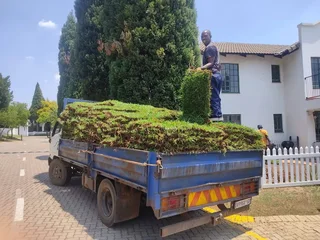 Fresh Farm Grass Available