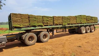 We Deliver and Install Lawn