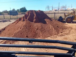 Kikuyu, Evergreen and LM