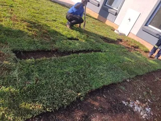 Instant Lawn delivered and installed
