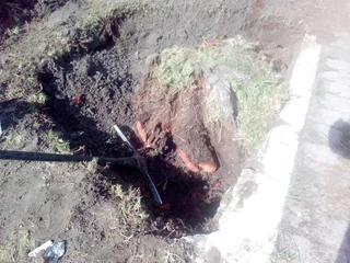 Tree cutting &amp; uprooting