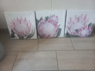 Canvas - Ad posted by Chantelle Venter