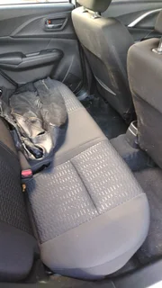 2024 Suzuki Swift Hatchback