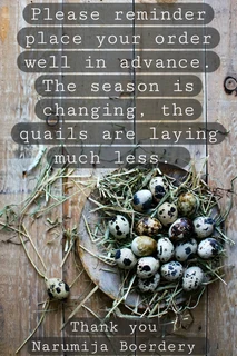 Ftesh free range Quail eggs