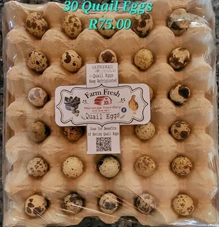 Fresh Free Range Quail eggs