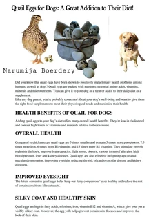 Fresh Free Range Quail eggs