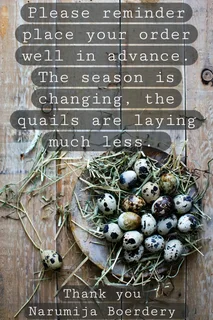 Quail eggs for sale &amp; scissors/ Kwartel eiers te koop