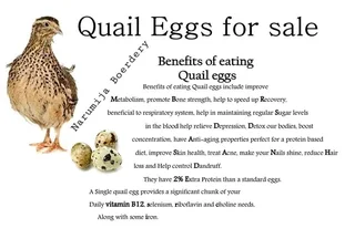Fresh Quail Eggs for sale &amp; scissors