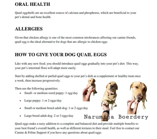 Fresh Quail Eggs for sale &amp; scissors