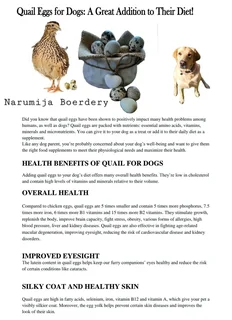 Quail eggs for sale for Snakes and Reptiles  / Kwartel eiers te koop