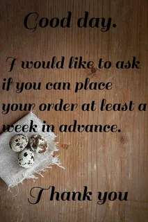 Quail eggs for sale &amp; scissors / Kwartel eiers te koop